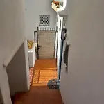 La Lucciola